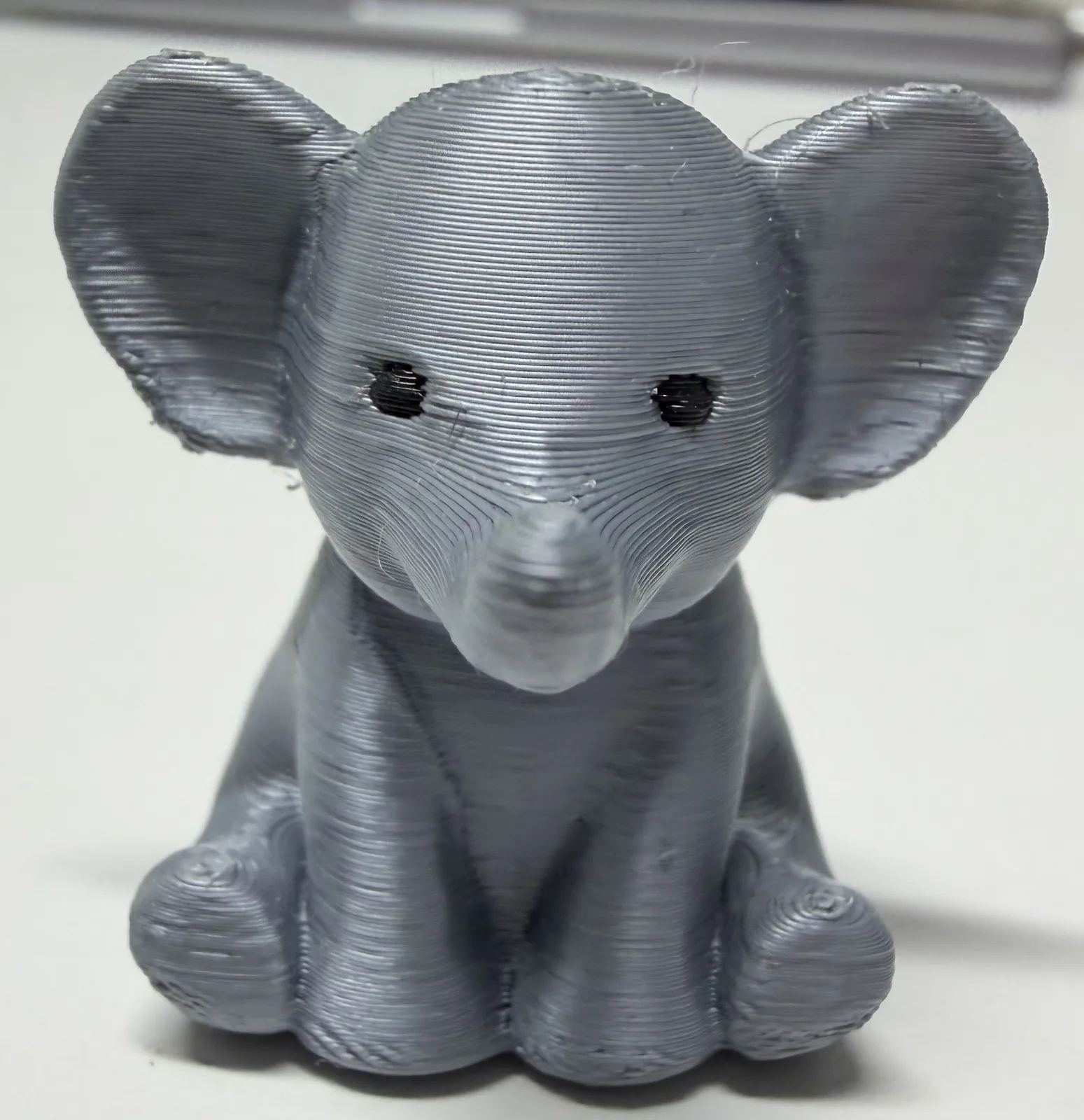 Baby Elephant