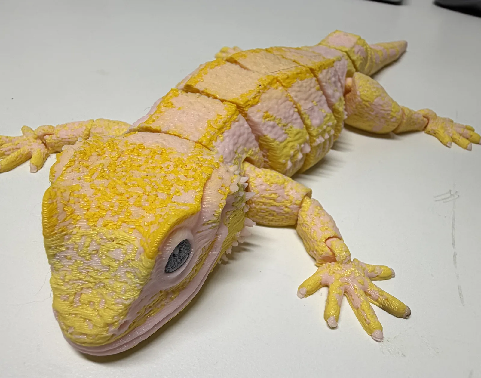 Crested Gecko